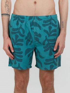 Fundango Bono Print Boardshorts for men in green 1