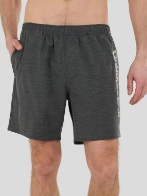 Fundango Bono II Boardshorts for men in grey 1