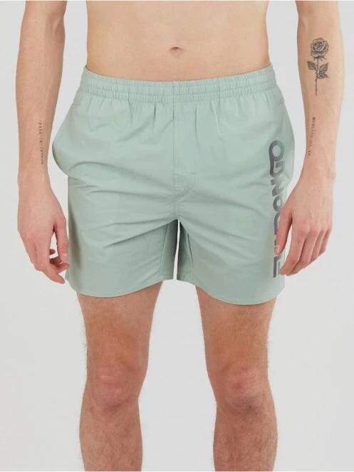 Fundango Bono Boardshort for men in green 2