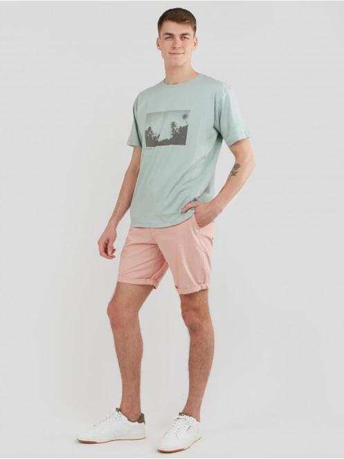 Fundango North Shore Chino Shorts for men in pink 4
