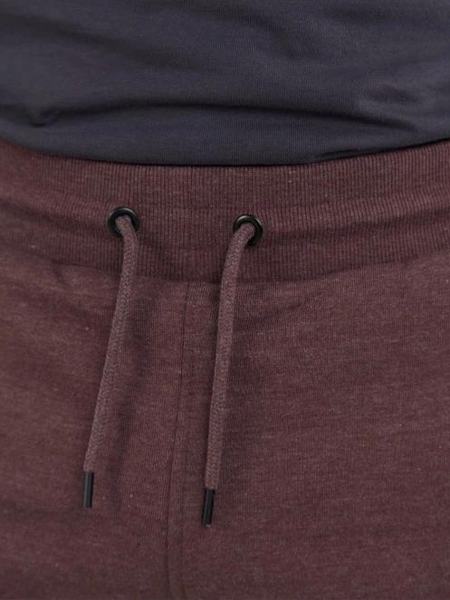 Fundango Delon Sweatshort for men in purple 6