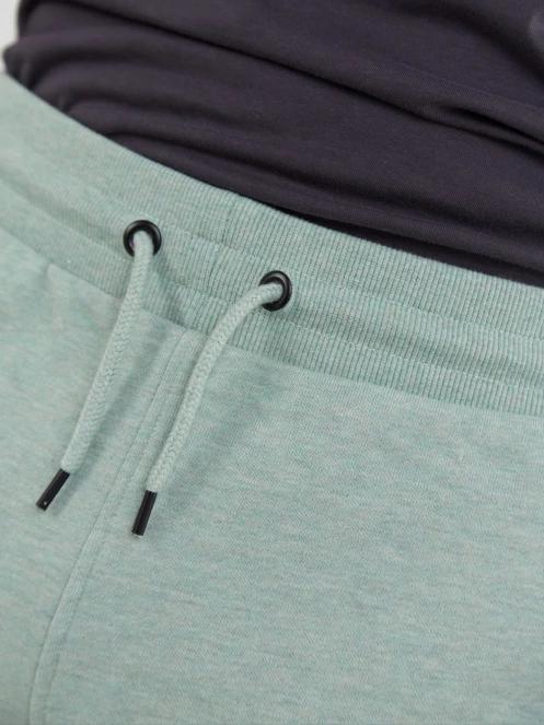 Fundango Delon Sweatshort for men in light blue 5