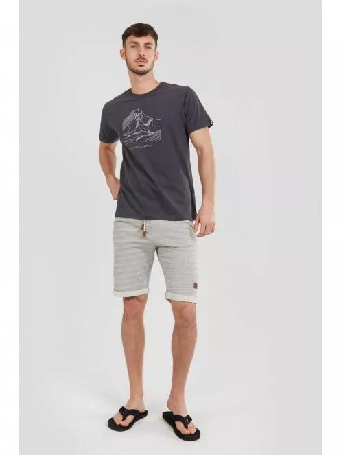Fundango Basic T Logo-1 T-shirt for men in grey 4