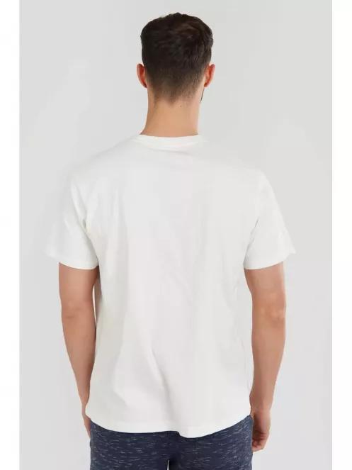 Fundango Basic T Logo-2 T-shirt for men in white 3