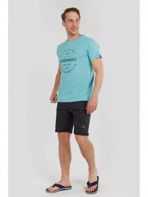 Fundango Basic T Logo-2 T-shirt for men in light blue 5