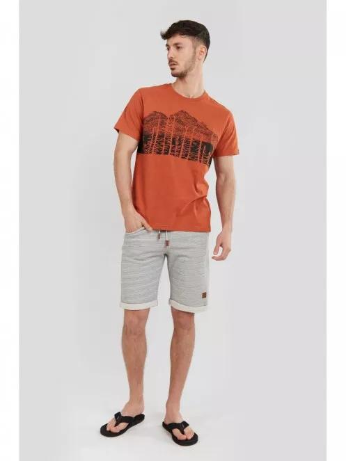 Fundango Basic T Logo-5 T-shirt for men in orange 5
