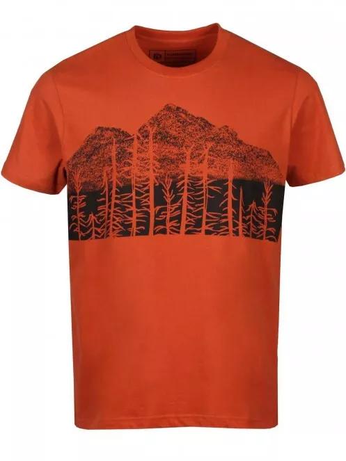 Fundango Basic T Logo-5 T-shirt for men in orange 6