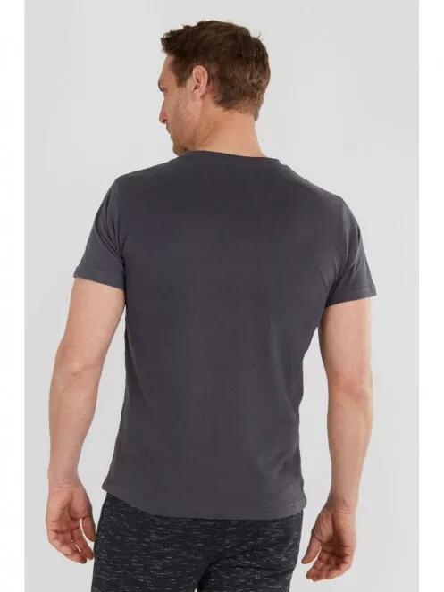 Fundango Basic T Logo-9 T-shirt for men in grey 3