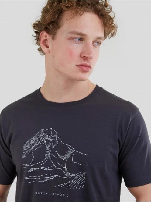 Fundango Basic - T Logo-11 T-shirt for men in grey 5