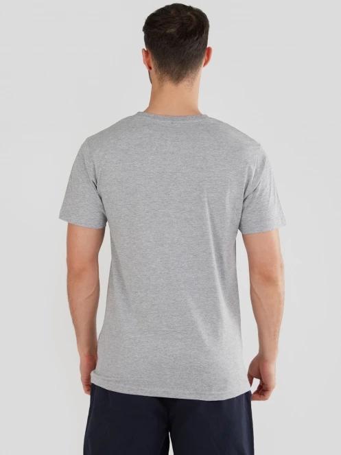Fundango Basic-T Logo 04 for men in grey 3