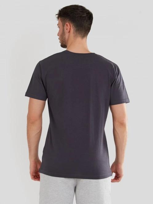 Fundango Basic-T Logo 04 for men in grey 3
