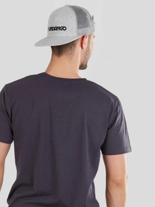 Fundango Basic-T Logo 04 for men in grey 6