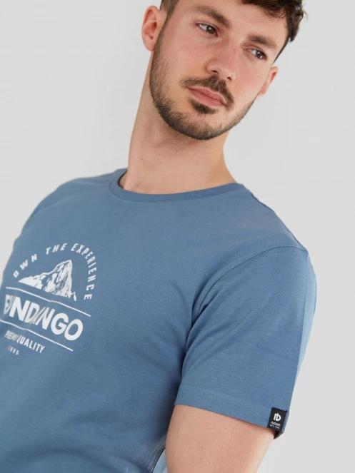 Fundango Basic-T Logo 12 for men in blue 5