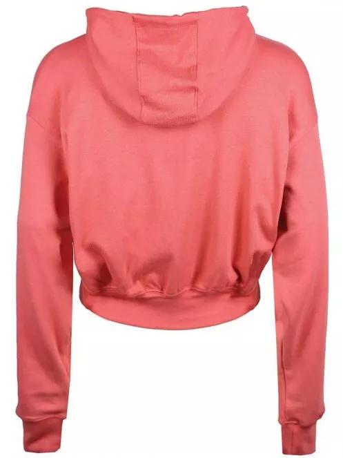 Pastel crop 2025 hoodie