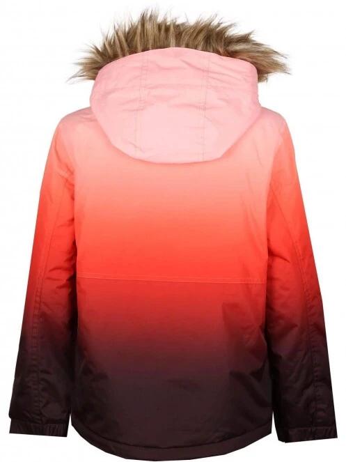 Roxy gradient ski jacket best sale