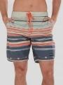 Fundango Neal Boardshorts for men in dark blue 1