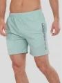 Fundango Bono II Boardshorts for men in green 1