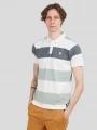 Fundango Incognito Stripe Poloshirt for men in green 1