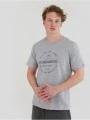 Fundango Basic - T Logo-4 T-shirt for men in grey 1