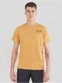 Fundango Basic - T Logo-7 T-shirt for men in yellow 1